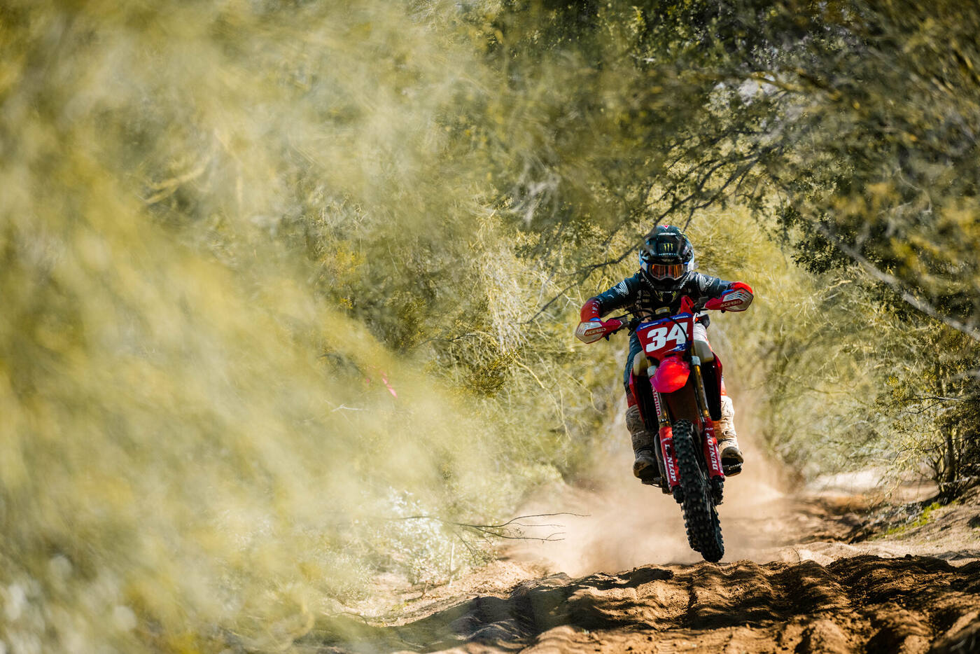 Motocross racer charging through a wooded desert trail at the Buckeye Grand Prix